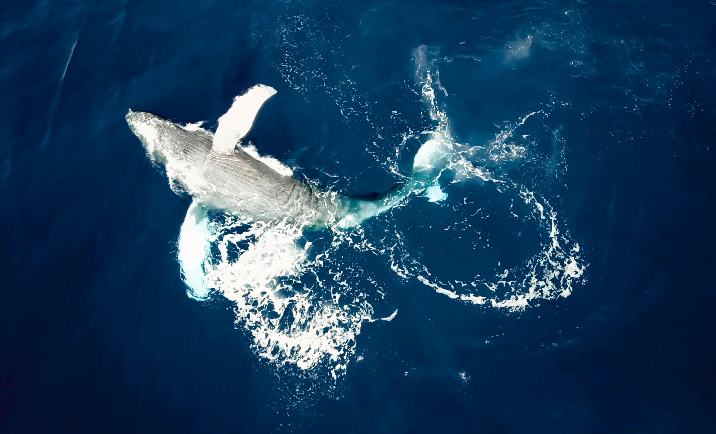 navegando de ibiza a formentera en un velero navegar cómodamente en un barco seguro y estable desde ibiza o formentera en un barco eco-friendly descubriendo las mejores playas y cuevas submarinas con muchas actividades incluidas que respetan la naturaleza y el comercio y cultura local.